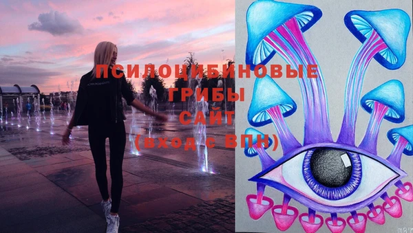 spice Михайловка