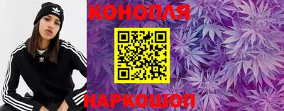 СК Абакан