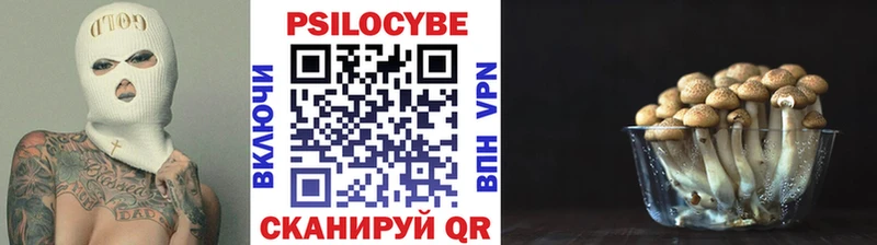 где продают   сайты даркнета как зайти  Псилоцибиновые грибы GOLDEN TEACHER  Ачинск 