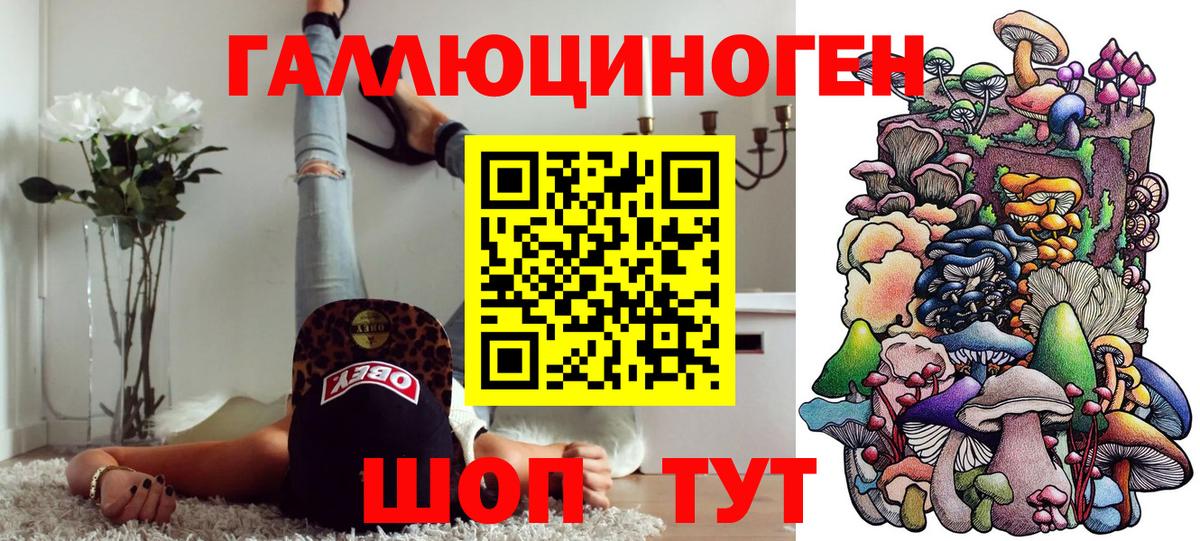 Ачинск  Псилоцибиновые грибы мицелий  Вход с VPN  Галлюциногенные грибы Psilocybine cubensis 