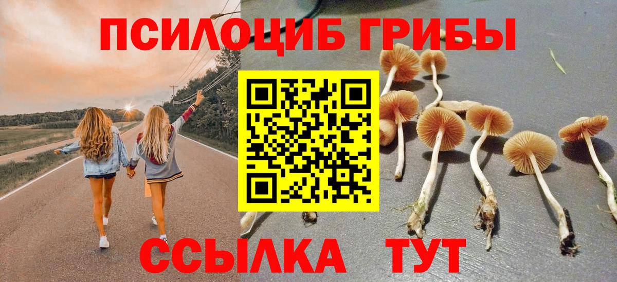 Галлюциногенные грибы GOLDEN TEACHER Ачинск